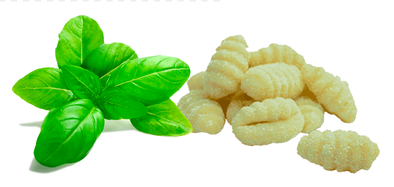 GNOCCHI DI PATATE con Basilico