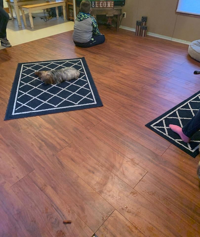 Floor laying and demo's
