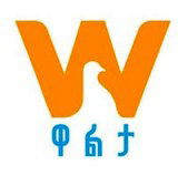 ערוץ Walta TV
