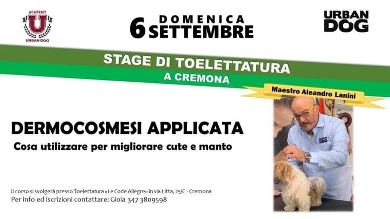 Stage di Toelettatura a Cremona