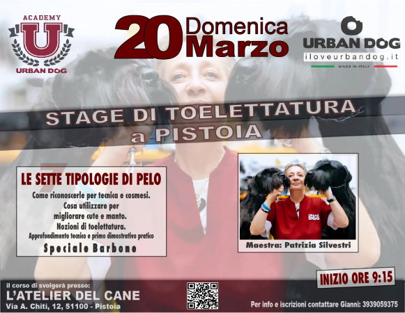 Stage di Toelettatura