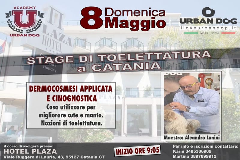 Stage di Toelettatura