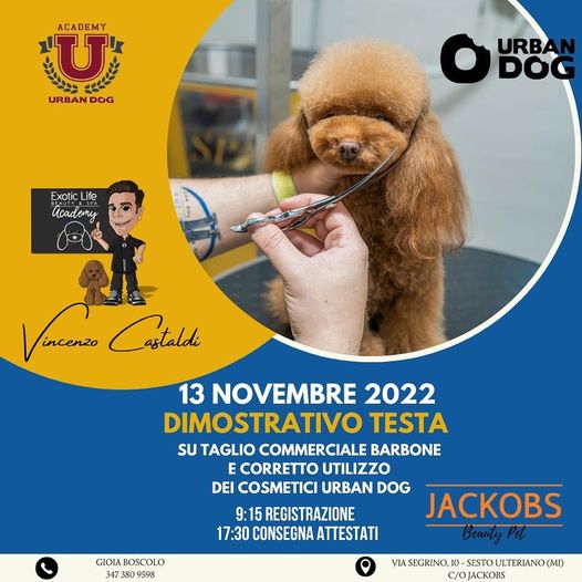 Stage di Toelettatura