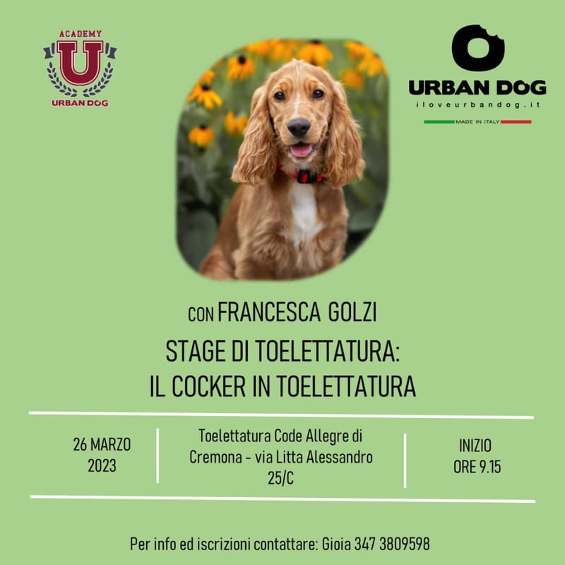 Stage di Toelettatura