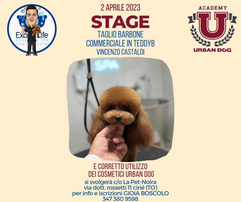 Stage di Toelettatura