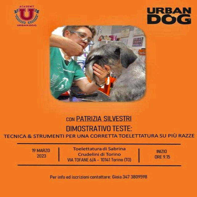 Stage di Toelettatura