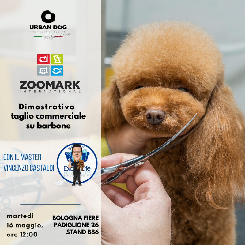 ZOOMARK 2023 - TAGLIO COMMERCIALE SU BARBONE CON VINCENZO CASTALDI