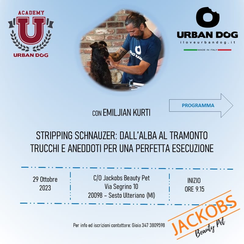 Stage di toelettatura - Stripping Schnauzer dall'alba al tramonto