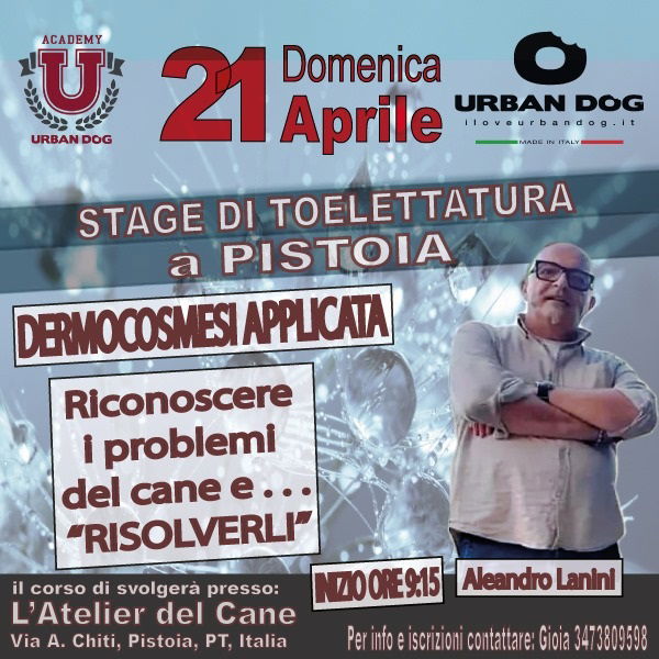 Stage di toelettatura