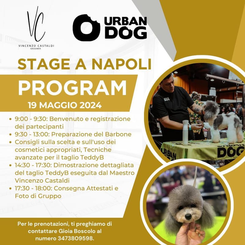 Stage di toelettatura - Cosmetologia e Corso sul Barbone