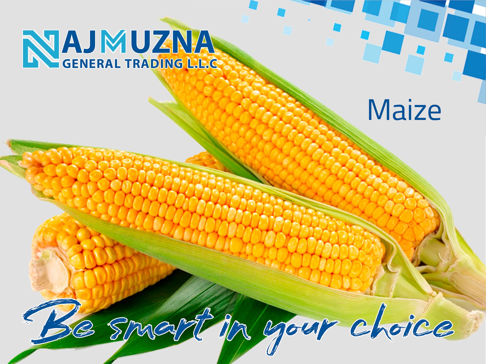 MAIZE