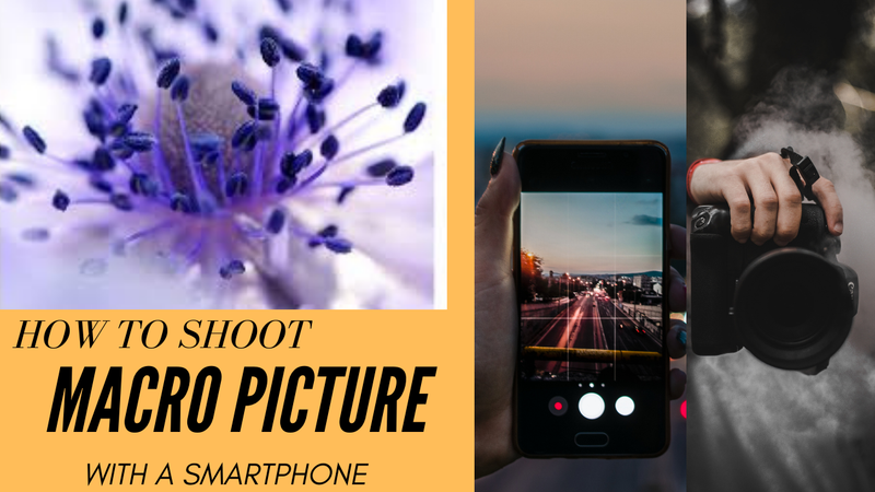 How to shoot Macro Pictures like a pro with your smartphones