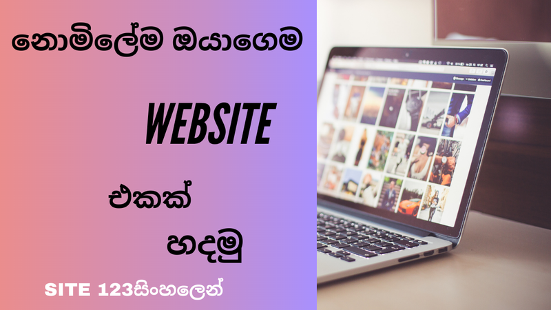 Web Develope