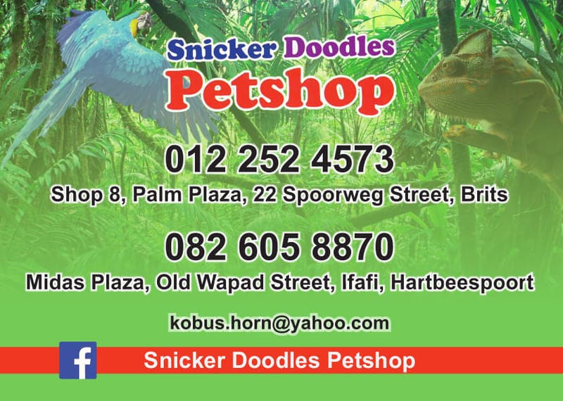 Snicker Doodles Pet shop