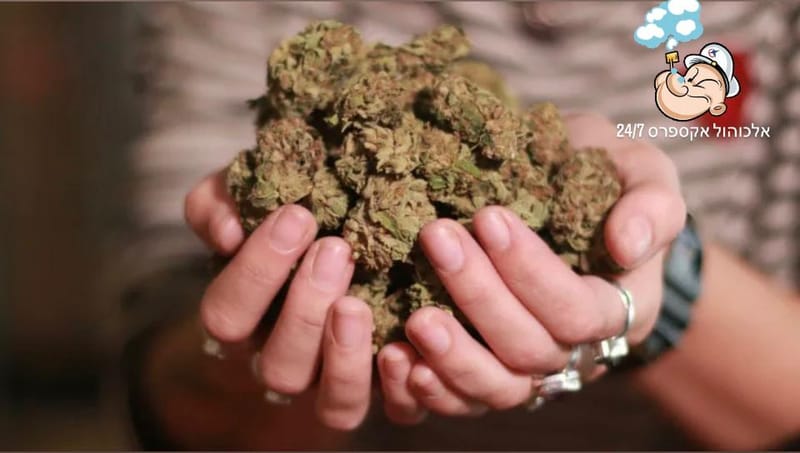 אקדמיית הגילגול