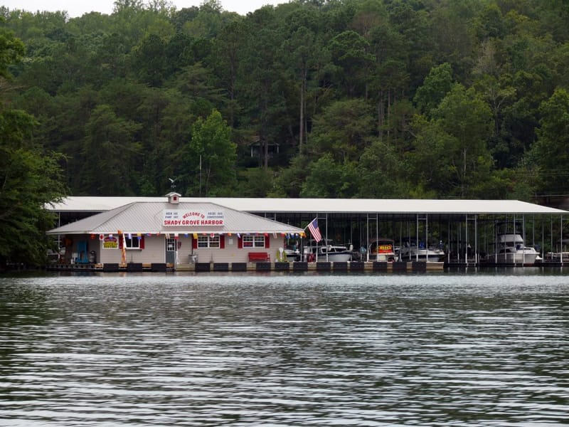 Boat Rentals & Food