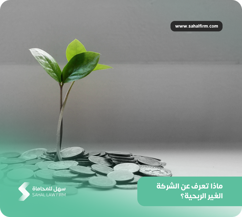 ماذا تعرف عن الشركة غير الربحية