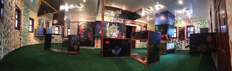 Parque Estadual Serra do Brigadeiro - Minas Gerais 