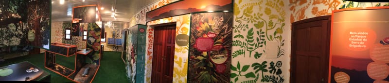 Parque Estadual Serra do Brigadeiro - Minas Gerais 