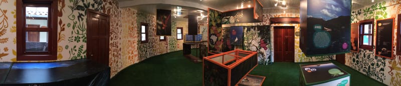 Parque Estadual Serra do Brigadeiro - Minas Gerais 