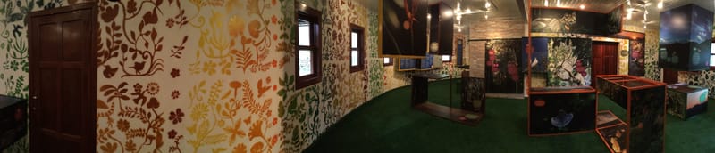 Parque Estadual Serra do Brigadeiro - Minas Gerais 