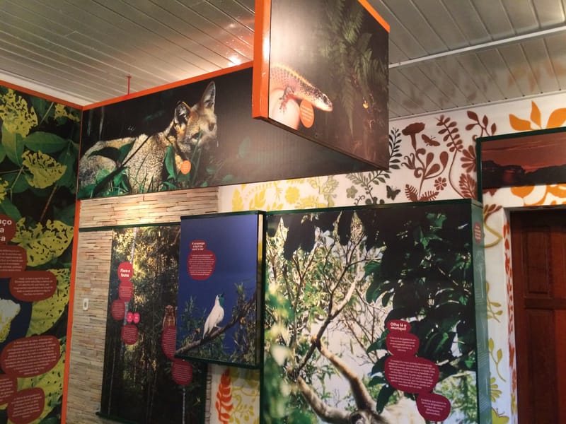 Parque Estadual Serra do Brigadeiro - Minas Gerais 