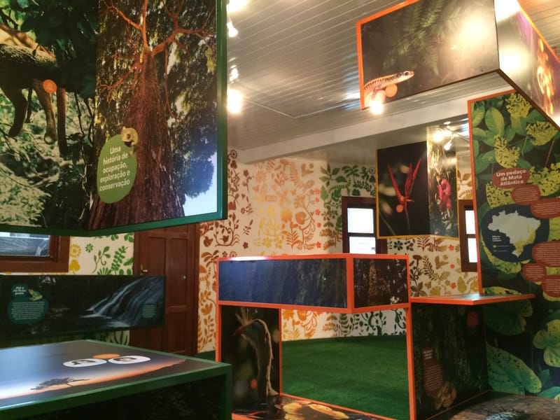 Parque Estadual Serra do Brigadeiro - Minas Gerais 