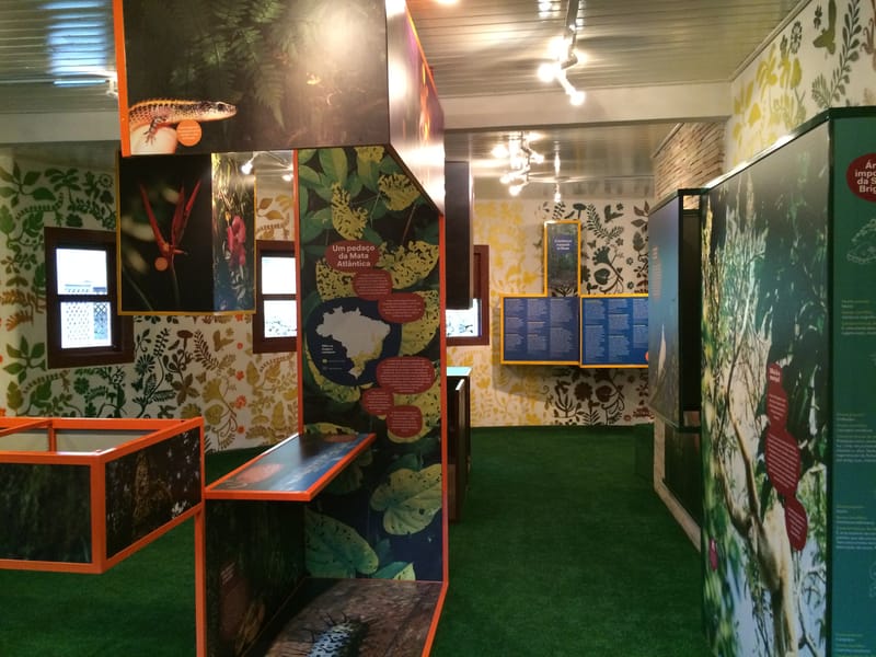 Parque Estadual Serra do Brigadeiro - Minas Gerais 