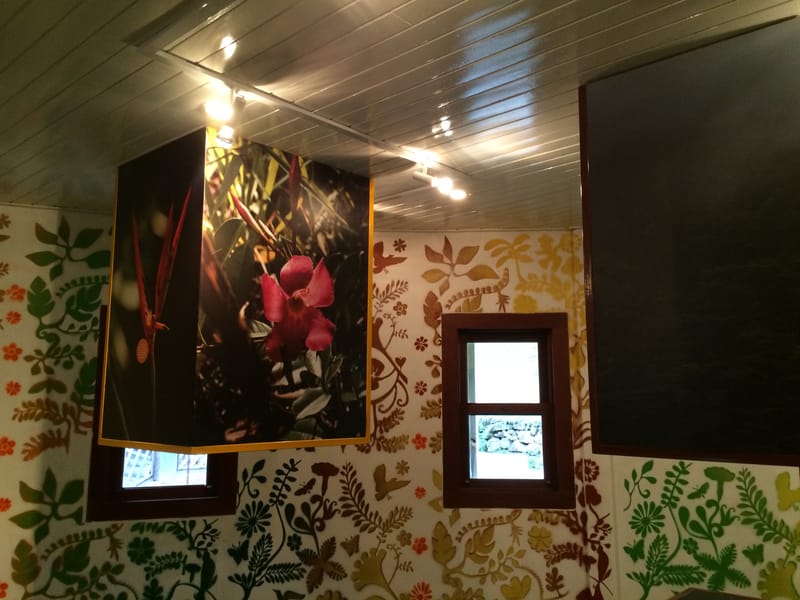 Parque Estadual Serra do Brigadeiro - Minas Gerais 