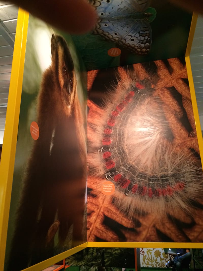 Parque Estadual Serra do Brigadeiro - Minas Gerais 