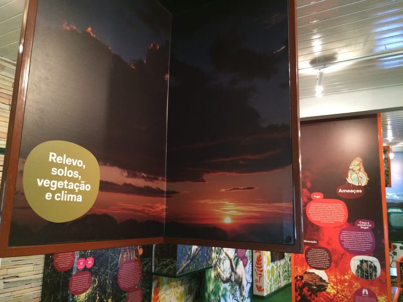 Parque Estadual Serra do Brigadeiro - Minas Gerais 