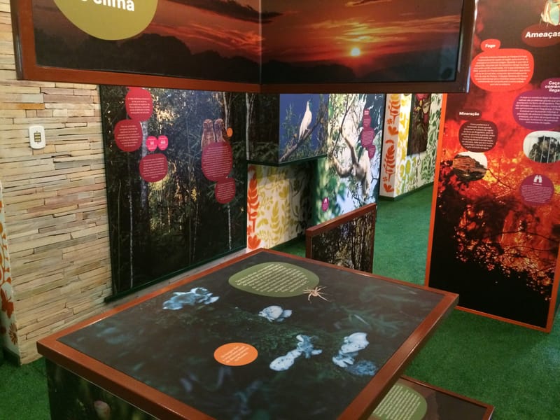 Parque Estadual Serra do Brigadeiro - Minas Gerais 