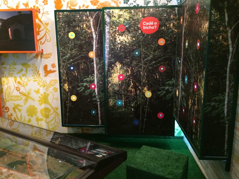 Parque Estadual Serra do Brigadeiro - Minas Gerais 