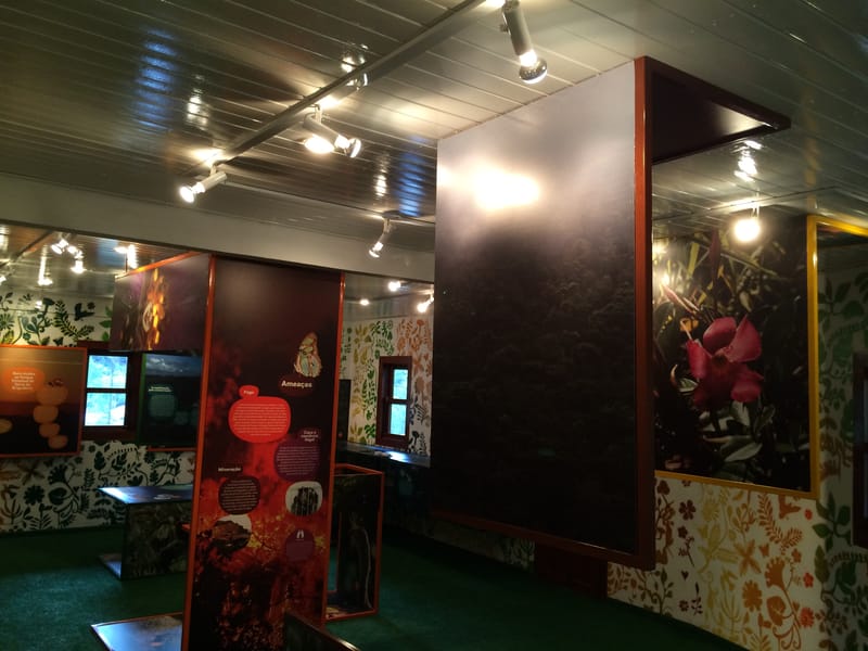 Parque Estadual Serra do Brigadeiro - Minas Gerais 