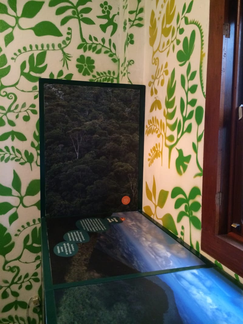 Parque Estadual Serra do Brigadeiro - Minas Gerais 