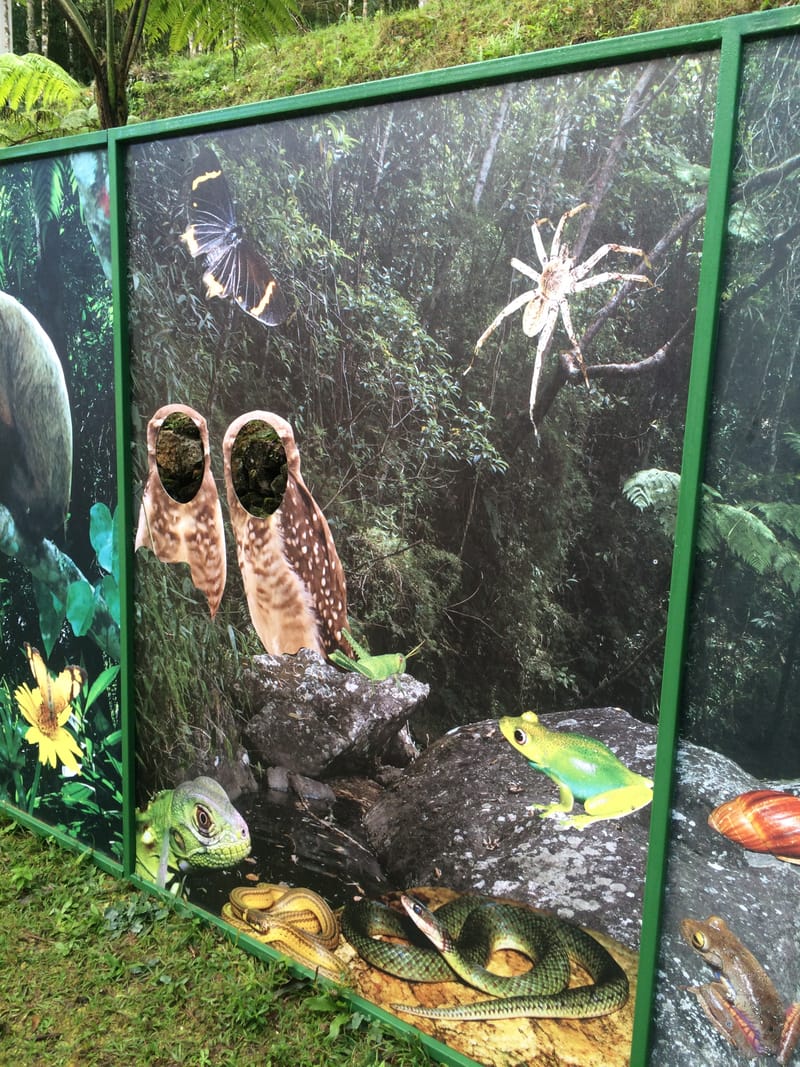 Parque Estadual Serra do Brigadeiro - Minas Gerais 