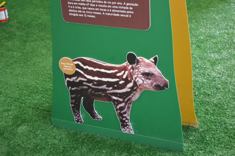 Parque Estadual Carlos Botelho - SP