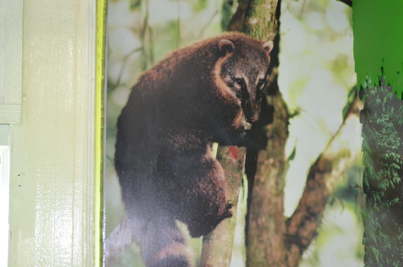 Parque Estadual Carlos Botelho - SP