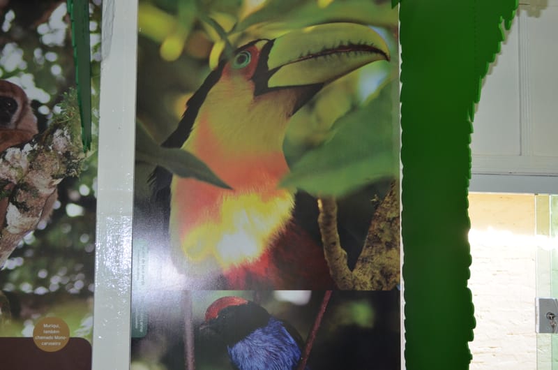 Parque Estadual Carlos Botelho - SP