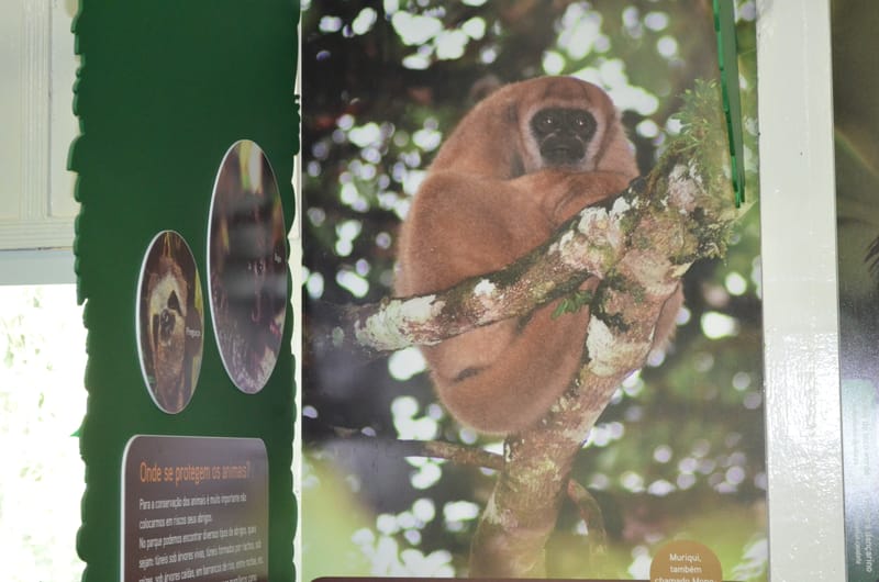 Parque Estadual Carlos Botelho - SP