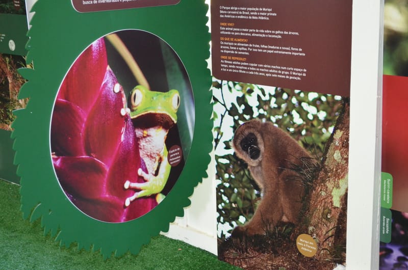 Parque Estadual Carlos Botelho - SP