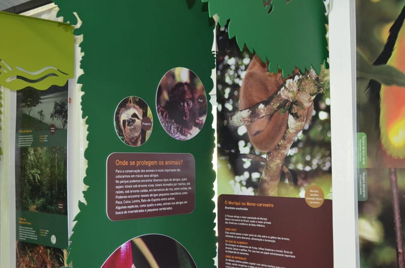 Parque Estadual Carlos Botelho - SP