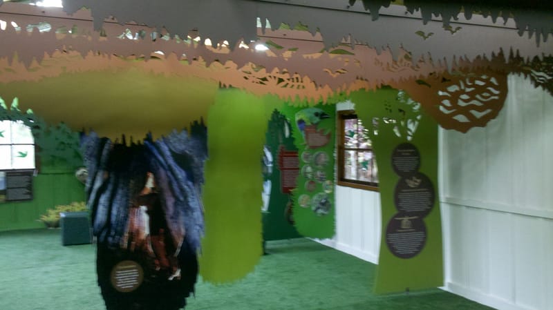 Parque Estadual de Intervales 