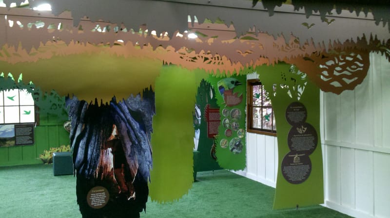 Parque Estadual de Intervales 