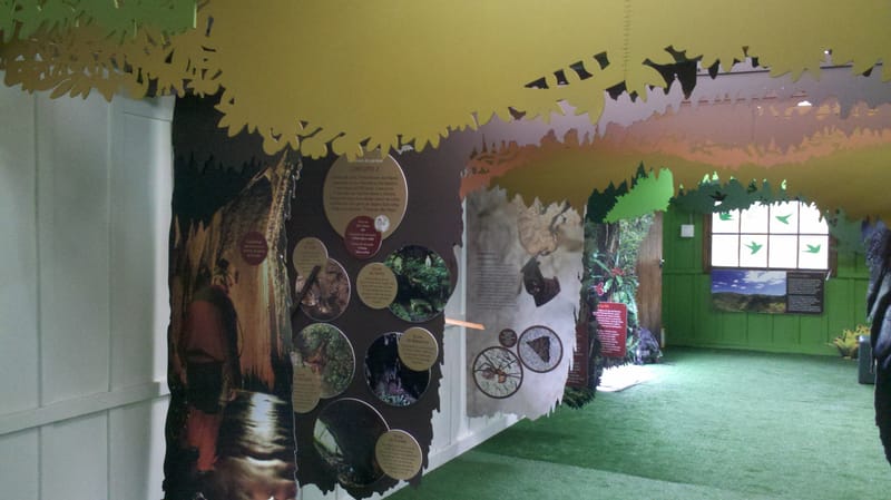 Parque Estadual de Intervales 