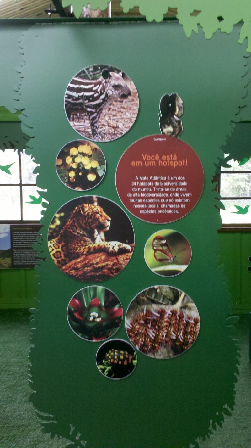 Parque Estadual de Intervales 