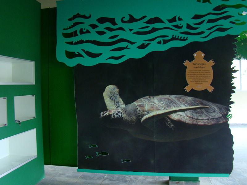 Parque Estadual Ilha do Cardoso - SP