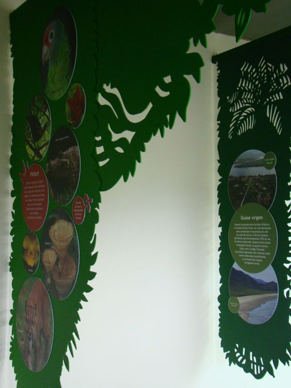 Parque Estadual Ilha do Cardoso - SP