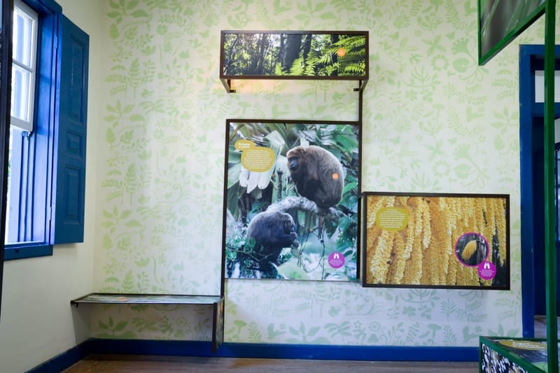 Centro de Visitantes Parque Estadual de Nova Baden - MG 