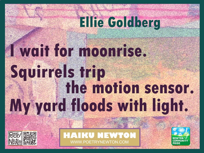 BY ELLIE GOLDBERG